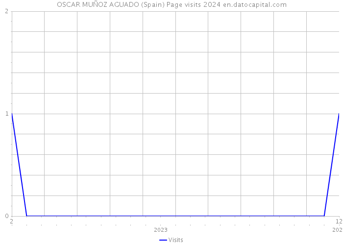 OSCAR MUÑOZ AGUADO (Spain) Page visits 2024 