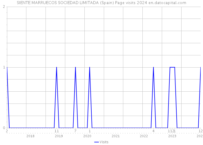 SIENTE MARRUECOS SOCIEDAD LIMITADA (Spain) Page visits 2024 