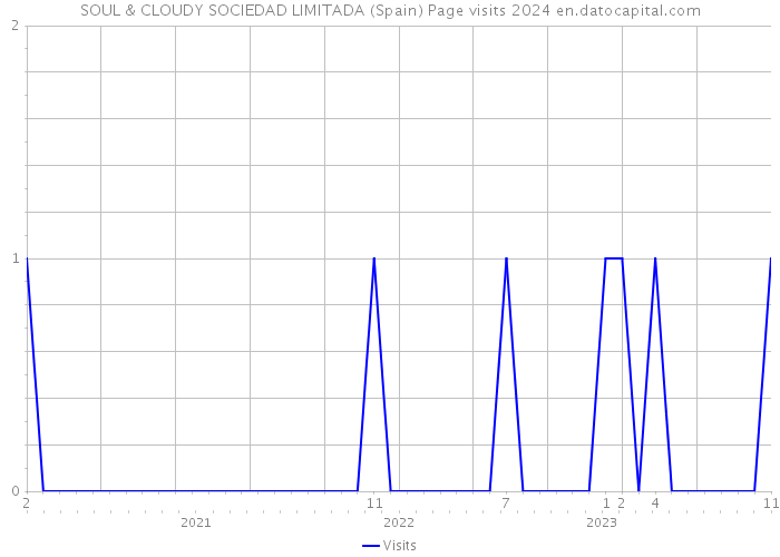 SOUL & CLOUDY SOCIEDAD LIMITADA (Spain) Page visits 2024 