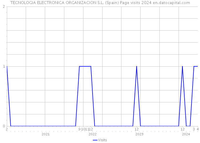 TECNOLOGIA ELECTRONICA ORGANIZACION S.L. (Spain) Page visits 2024 