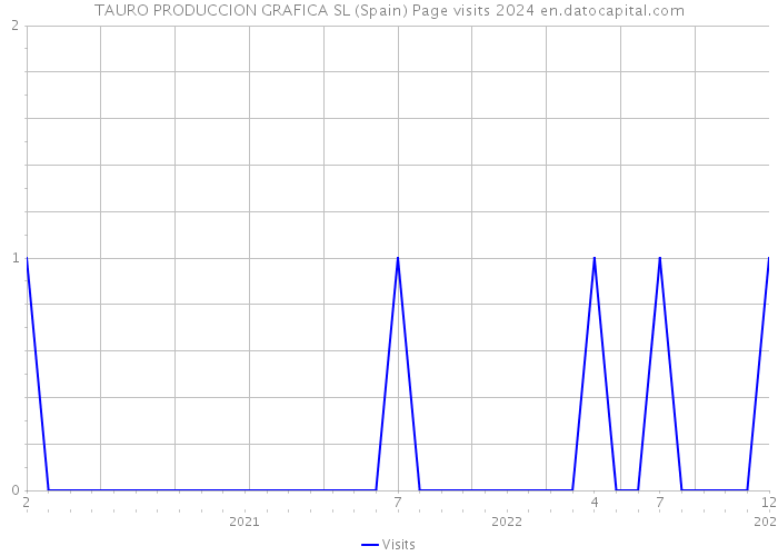 TAURO PRODUCCION GRAFICA SL (Spain) Page visits 2024 