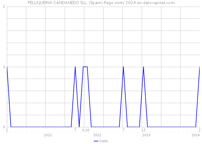 PELUQUERIA CANDANEDO SLL. (Spain) Page visits 2024 