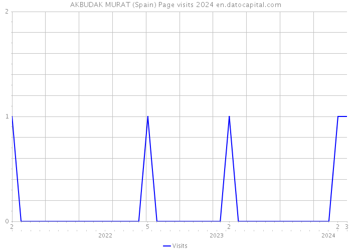 AKBUDAK MURAT (Spain) Page visits 2024 