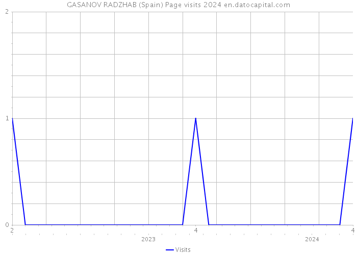 GASANOV RADZHAB (Spain) Page visits 2024 