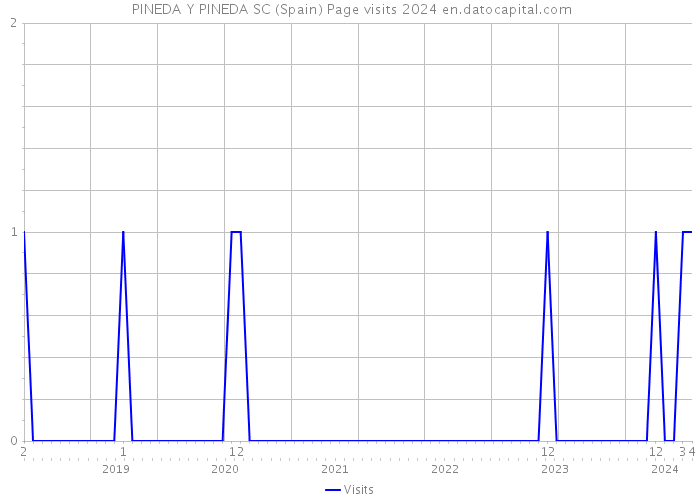  PINEDA Y PINEDA SC (Spain) Page visits 2024 
