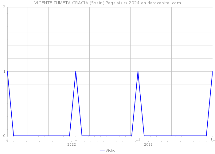 VICENTE ZUMETA GRACIA (Spain) Page visits 2024 