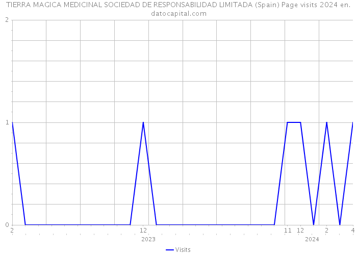 TIERRA MAGICA MEDICINAL SOCIEDAD DE RESPONSABILIDAD LIMITADA (Spain) Page visits 2024 