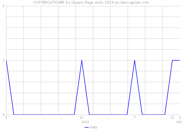 OYSTERCATCHER S.L (Spain) Page visits 2024 