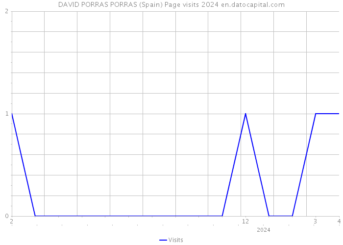 DAVID PORRAS PORRAS (Spain) Page visits 2024 