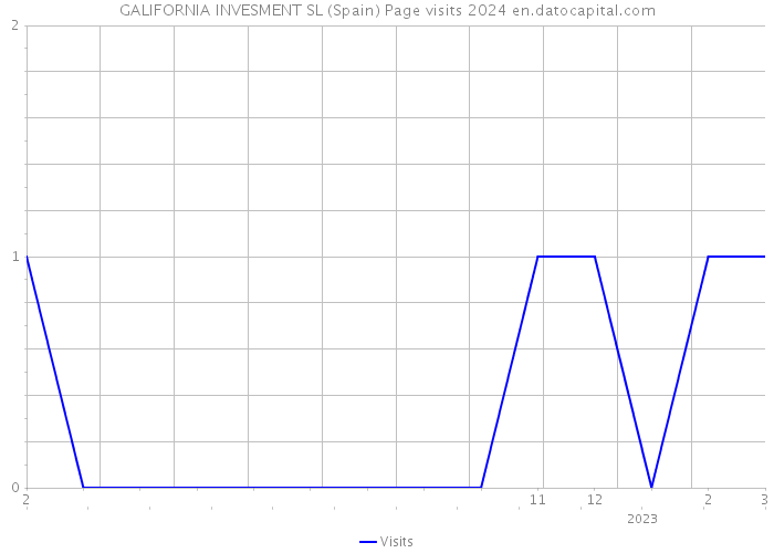 GALIFORNIA INVESMENT SL (Spain) Page visits 2024 