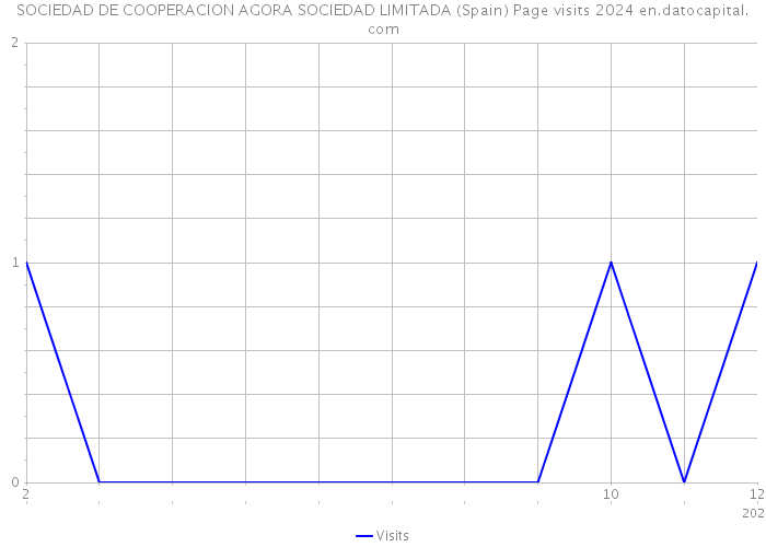 SOCIEDAD DE COOPERACION AGORA SOCIEDAD LIMITADA (Spain) Page visits 2024 