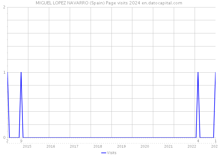 MIGUEL LOPEZ NAVARRO (Spain) Page visits 2024 