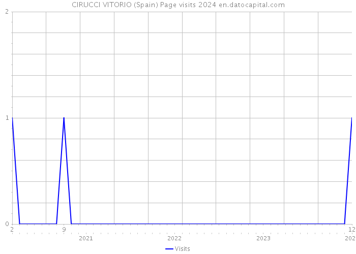 CIRUCCI VITORIO (Spain) Page visits 2024 