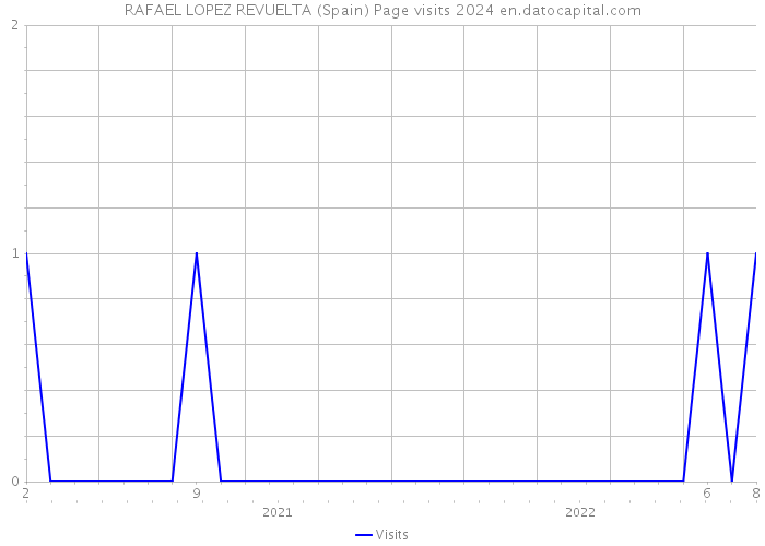 RAFAEL LOPEZ REVUELTA (Spain) Page visits 2024 