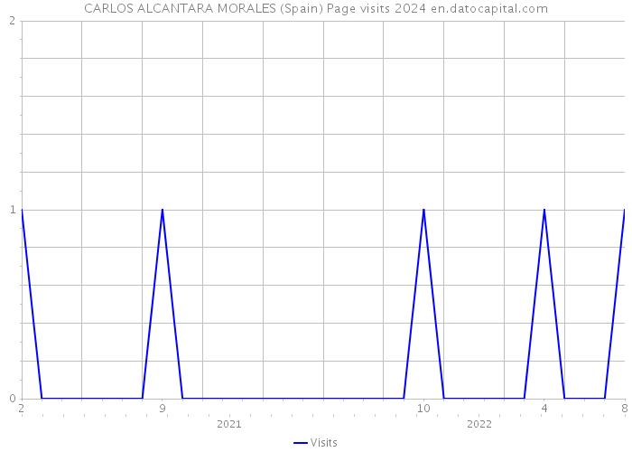 CARLOS ALCANTARA MORALES (Spain) Page visits 2024 