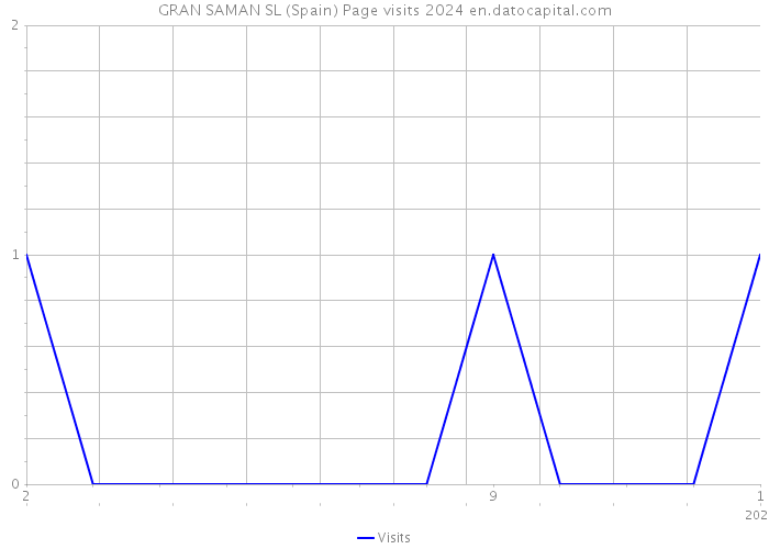 GRAN SAMAN SL (Spain) Page visits 2024 