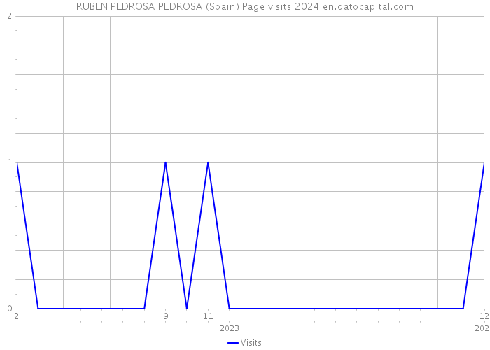 RUBEN PEDROSA PEDROSA (Spain) Page visits 2024 
