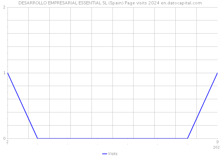DESARROLLO EMPRESARIAL ESSENTIAL SL (Spain) Page visits 2024 