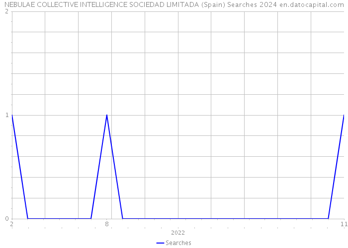 NEBULAE COLLECTIVE INTELLIGENCE SOCIEDAD LIMITADA (Spain) Searches 2024 