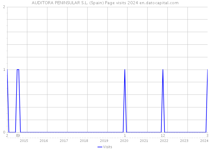 AUDITORA PENINSULAR S.L. (Spain) Page visits 2024 