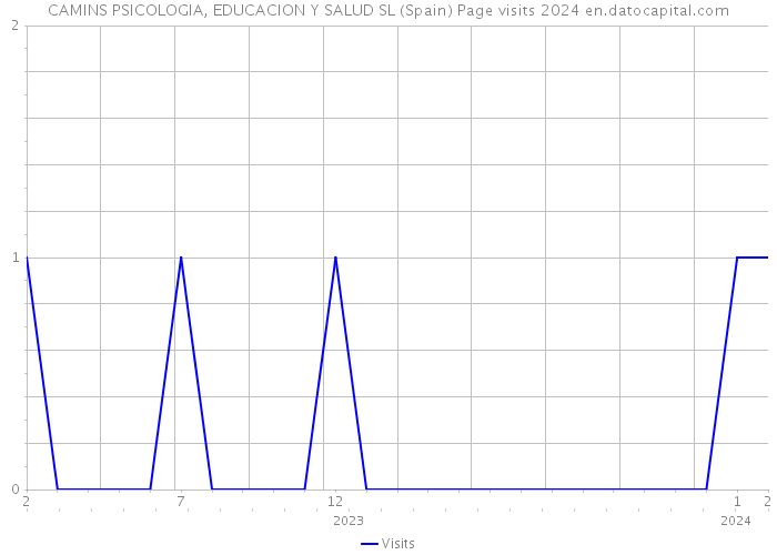 CAMINS PSICOLOGIA, EDUCACION Y SALUD SL (Spain) Page visits 2024 