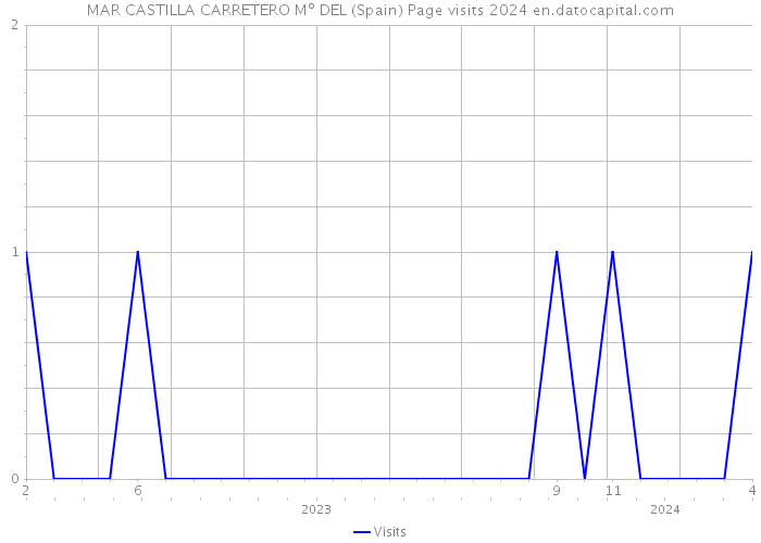 MAR CASTILLA CARRETERO Mº DEL (Spain) Page visits 2024 