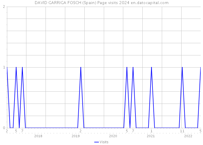 DAVID GARRIGA FOSCH (Spain) Page visits 2024 