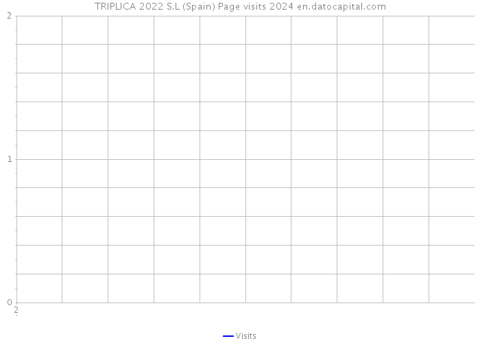 TRIPLICA 2022 S.L (Spain) Page visits 2024 