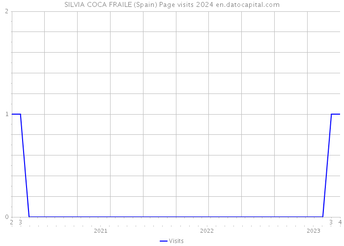 SILVIA COCA FRAILE (Spain) Page visits 2024 