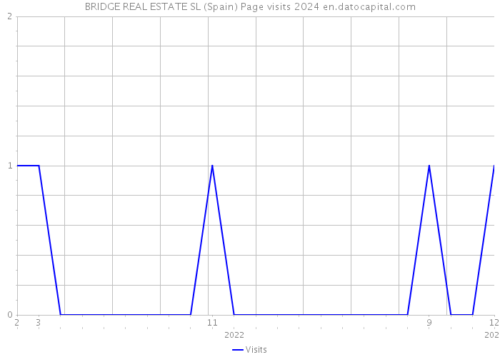 BRIDGE REAL ESTATE SL (Spain) Page visits 2024 