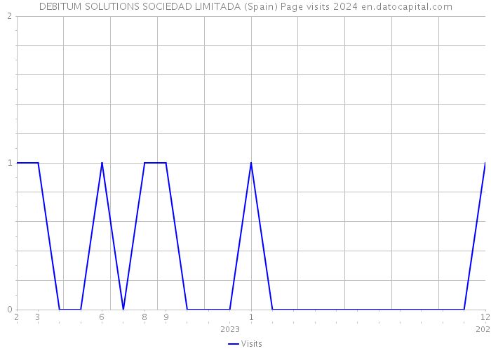 DEBITUM SOLUTIONS SOCIEDAD LIMITADA (Spain) Page visits 2024 