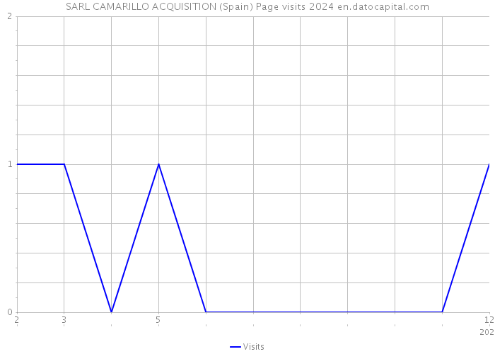 SARL CAMARILLO ACQUISITION (Spain) Page visits 2024 