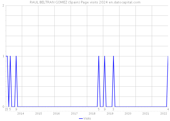RAUL BELTRAN GOMEZ (Spain) Page visits 2024 
