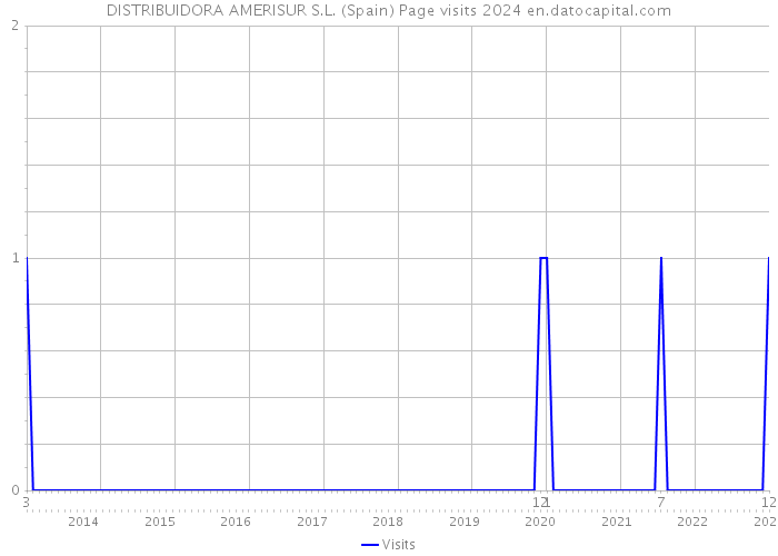 DISTRIBUIDORA AMERISUR S.L. (Spain) Page visits 2024 
