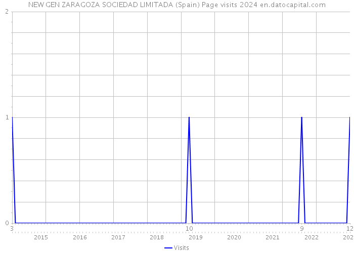 NEW GEN ZARAGOZA SOCIEDAD LIMITADA (Spain) Page visits 2024 