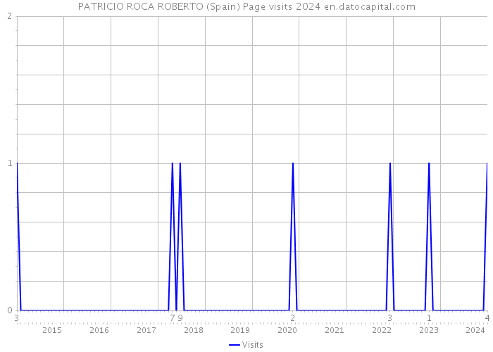 PATRICIO ROCA ROBERTO (Spain) Page visits 2024 