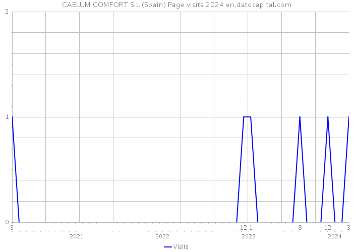CAELUM COMFORT S.L (Spain) Page visits 2024 