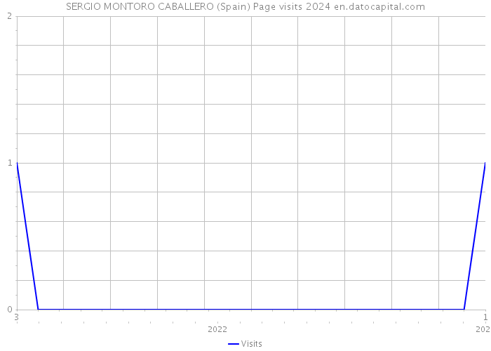 SERGIO MONTORO CABALLERO (Spain) Page visits 2024 