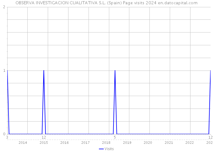 OBSERVA INVESTIGACION CUALITATIVA S.L. (Spain) Page visits 2024 