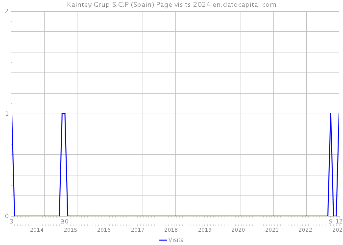 Kaintey Grup S.C.P (Spain) Page visits 2024 