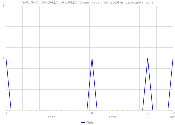 SOCORRO CARBALLO CARBALLO (Spain) Page visits 2024 