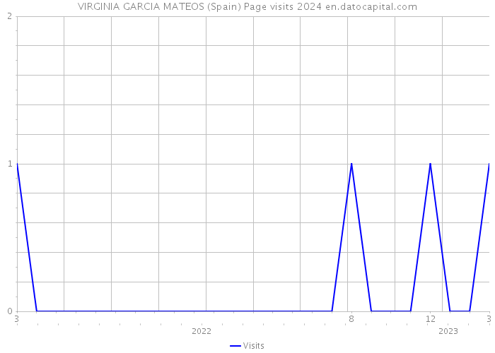 VIRGINIA GARCIA MATEOS (Spain) Page visits 2024 
