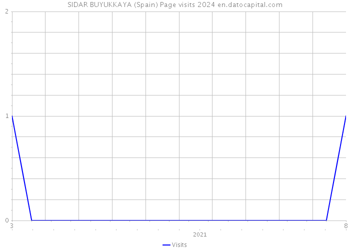 SIDAR BUYUKKAYA (Spain) Page visits 2024 