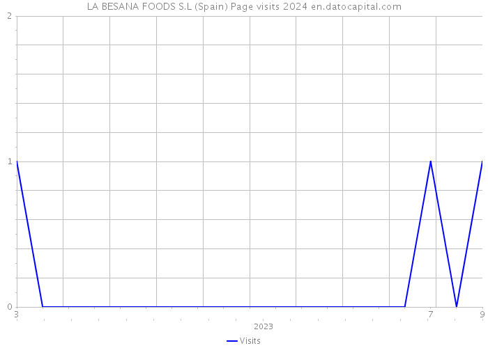 LA BESANA FOODS S.L (Spain) Page visits 2024 