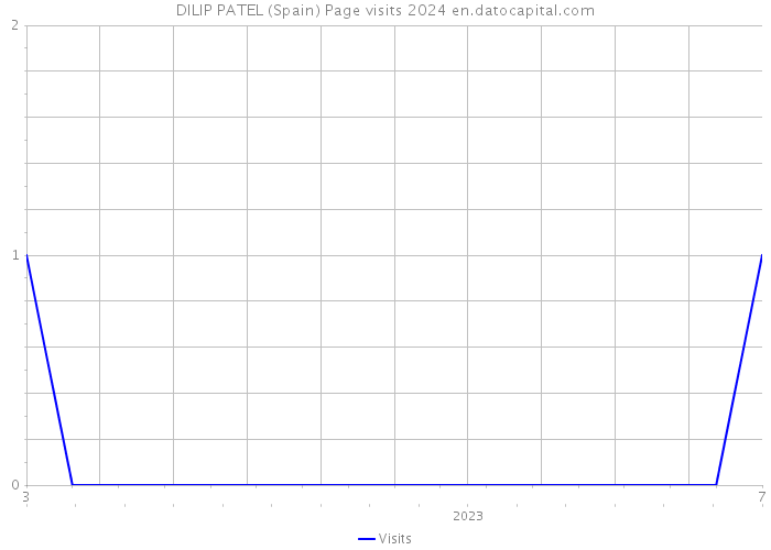 DILIP PATEL (Spain) Page visits 2024 