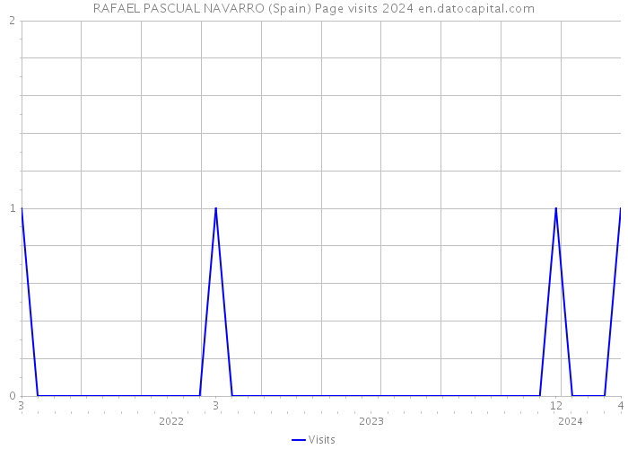 RAFAEL PASCUAL NAVARRO (Spain) Page visits 2024 