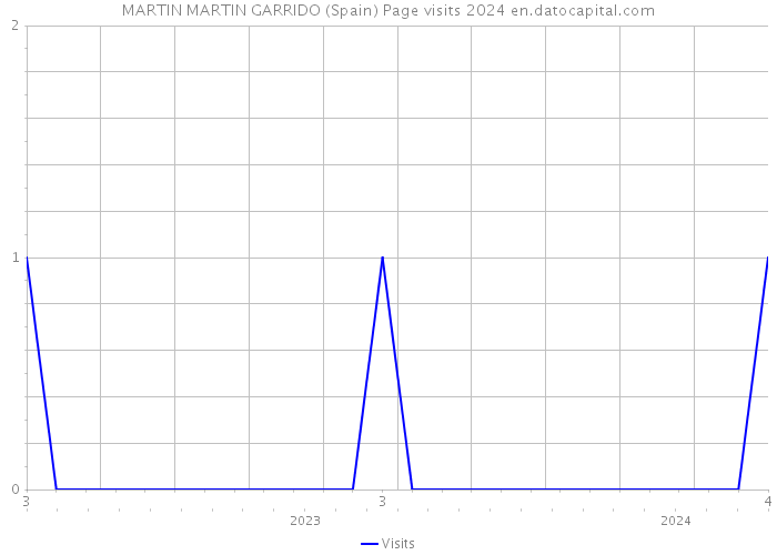 MARTIN MARTIN GARRIDO (Spain) Page visits 2024 