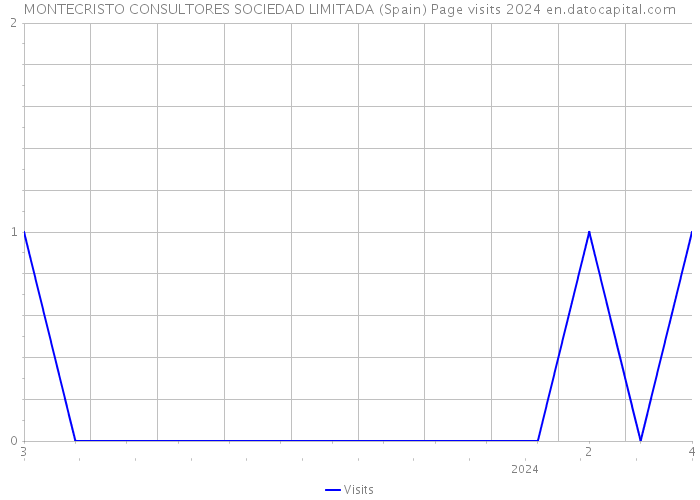 MONTECRISTO CONSULTORES SOCIEDAD LIMITADA (Spain) Page visits 2024 