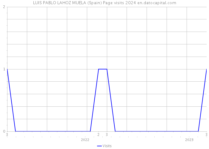 LUIS PABLO LAHOZ MUELA (Spain) Page visits 2024 