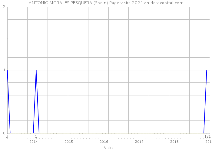 ANTONIO MORALES PESQUERA (Spain) Page visits 2024 